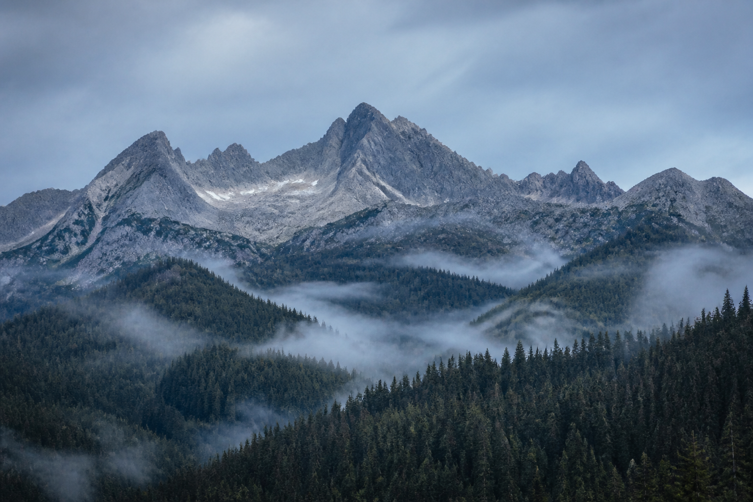 Uninhabited gray alpine ridge above a misty pine valley on an overcast morning